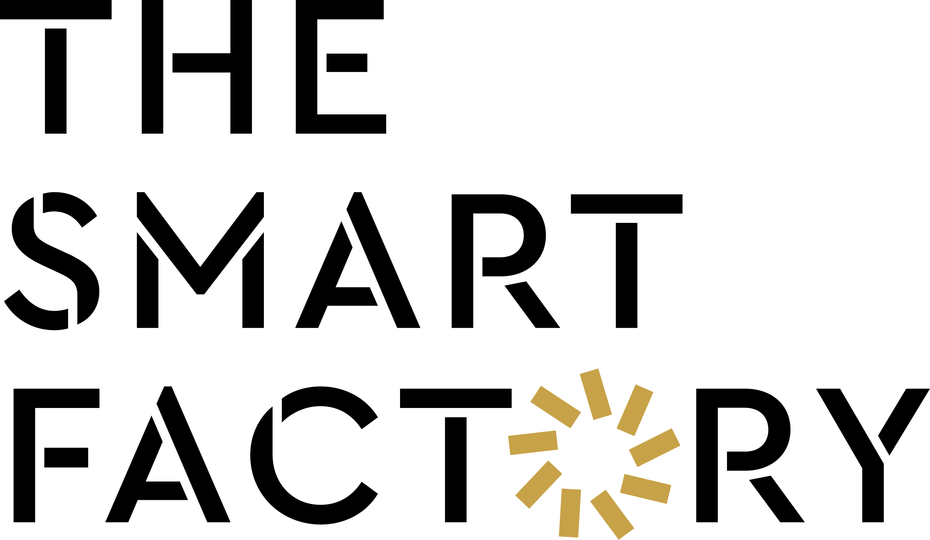 TSF Logo OR
