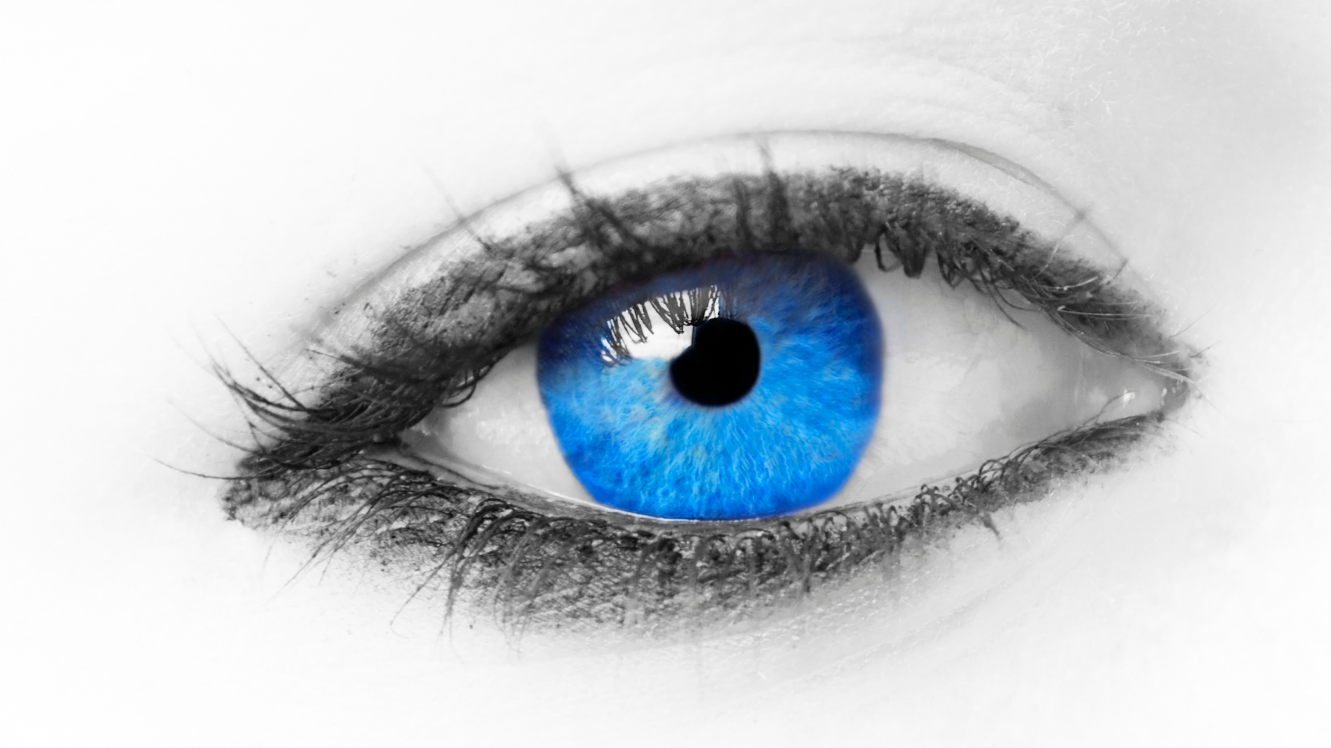 oeil-bleu
